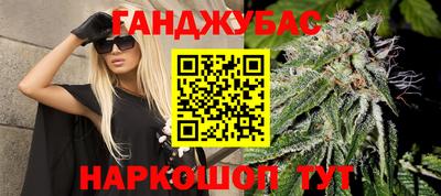 сатива Будённовск