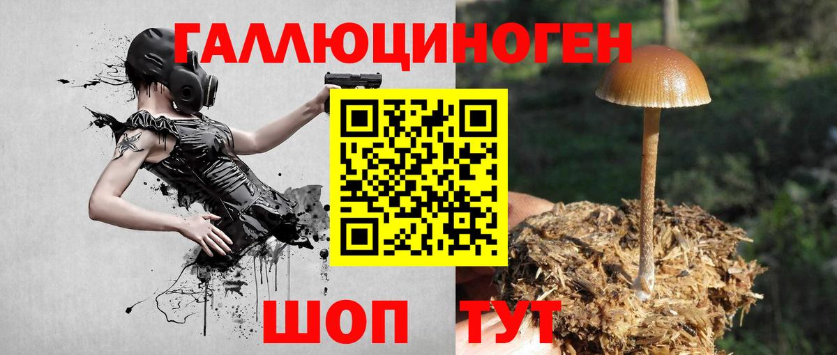 сколько стоит  Псилоцибиновые грибы GOLDEN TEACHER  Галлюциногенные грибы мухоморы  Вход с VPN  Щёкино 