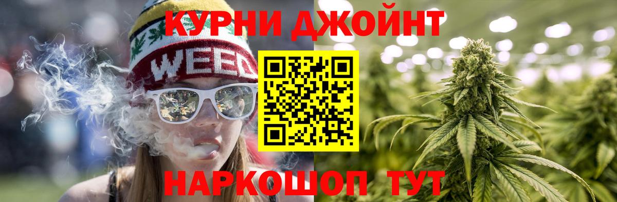 Каннабис индика  Бошки Шишки марихуана  МАРИХУАНА план  Щёкино  Вход с VPN 